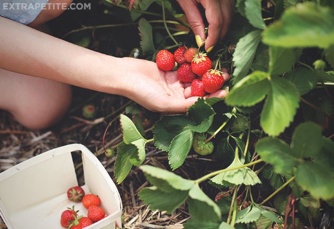 strawberries