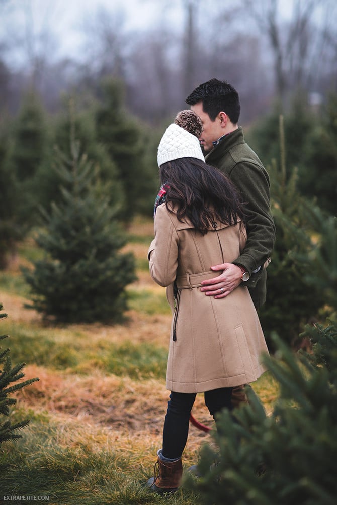 Ellms Christmas tree farm Albany