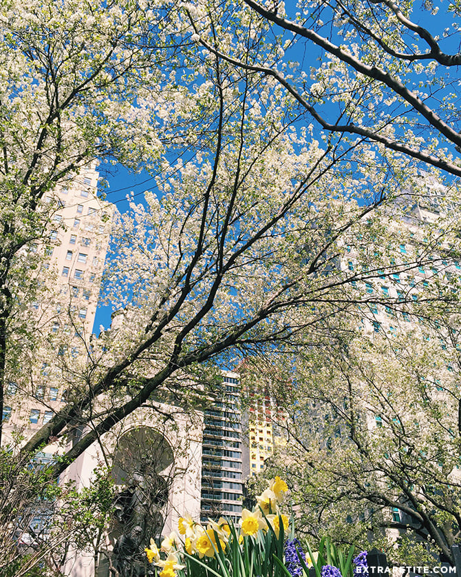 new york city spring herald square park
