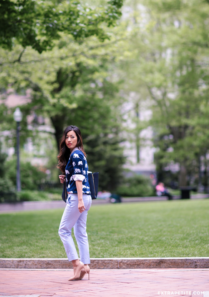 elephant sweater oxford pants petite fashion
