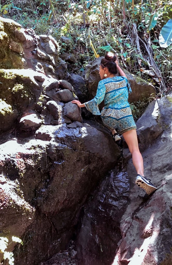 crouching tiger hidden dragon