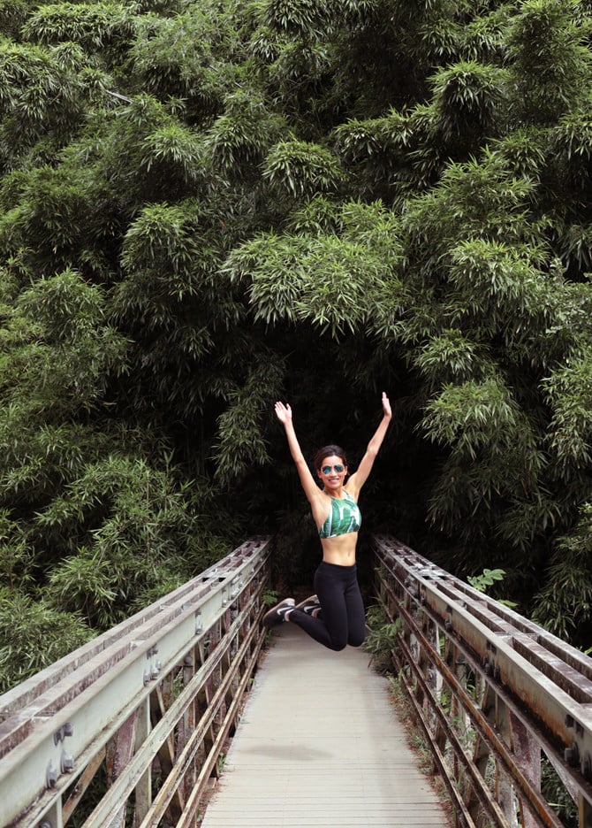 haleakala national park pipiwai trail bamboo forest road to hana maui