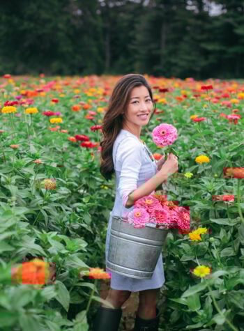 flower picking fields best new england parlee farm