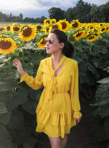 parlee farms sunflower field yellow dress