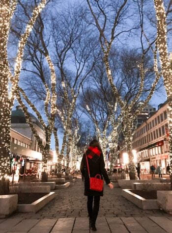 boston fanueil hall holiday christmas lights
