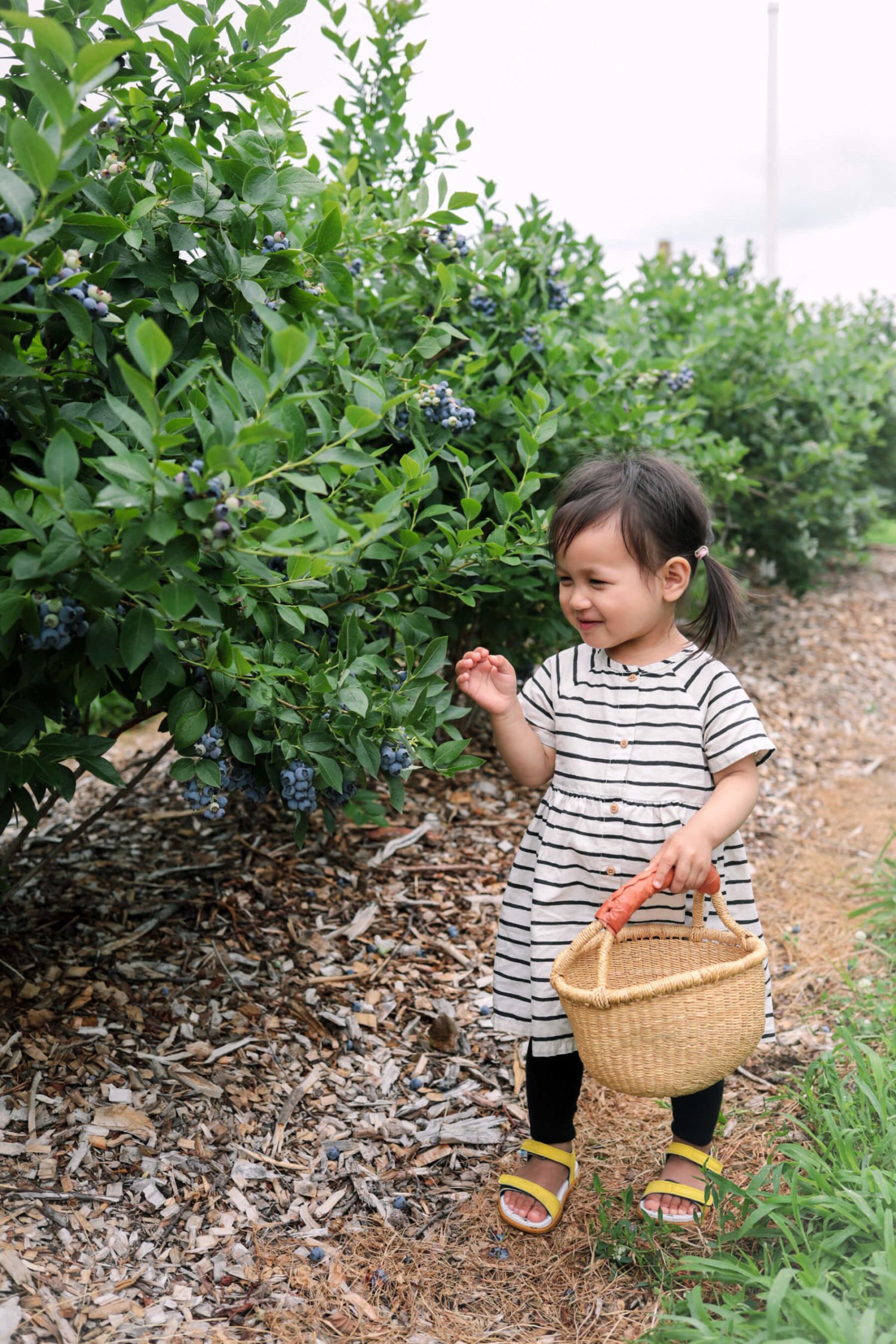 Toddler striped summer dress